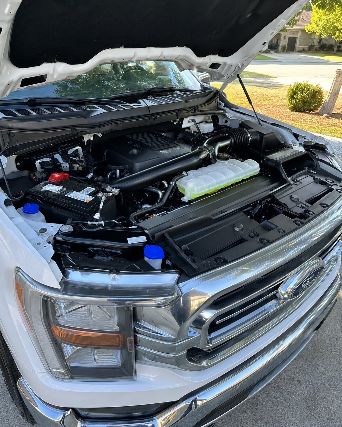 Ford F-150 engine bay clean detail